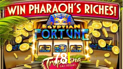 Descubra o Mundo do Cassino Online com 78l